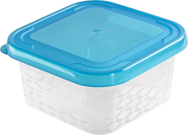 Vierkante bewaardoos voor voedsel Blue Box 0,45 l
