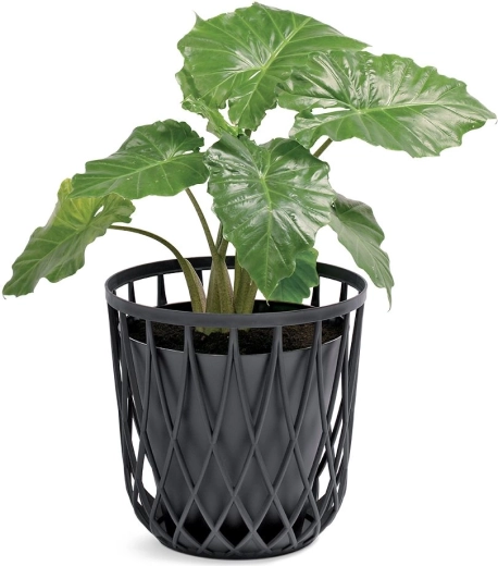 Stijlvolle interieuraccessoire