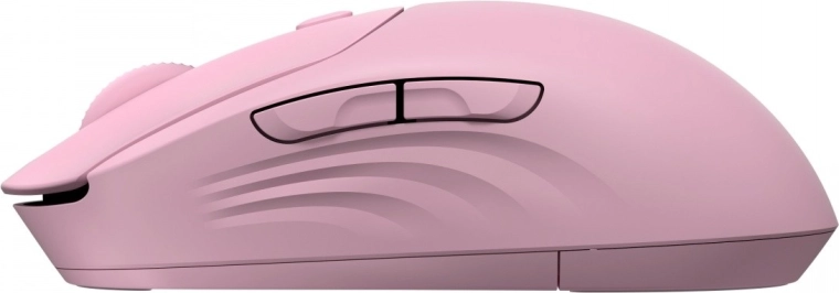 Nauwkeurigheid tot 6000 DPI en comfortabele grip