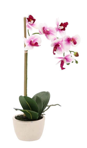 Natuurlijk realistische bloemen en bladeren