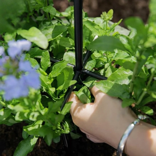 Stabiele steun voor een uitbundige bloei