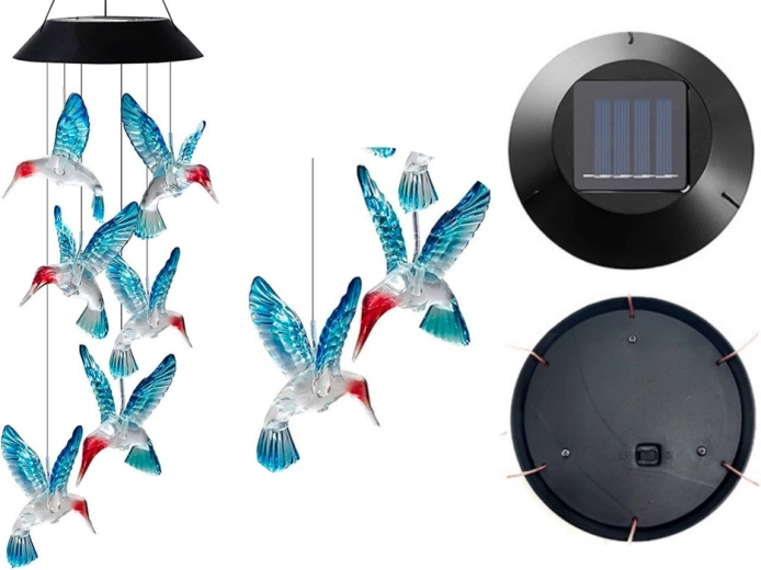 Zonnekolibrie LED licht in kleuren
