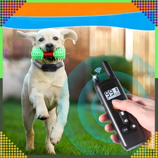 Bereik tot 800 m voor betrouwbare training