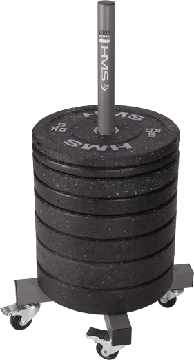 Verticale opslag voor olympische schijven 50 mm