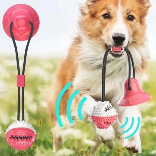 Gezonde tanden en tandvlees bij ieder spel