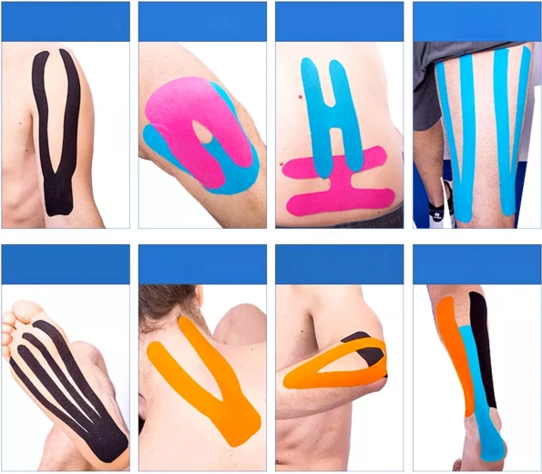 Ondersteuning van spieren en gewrichten tijdens beweging