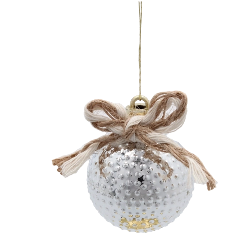 Elegant zilver en champagne