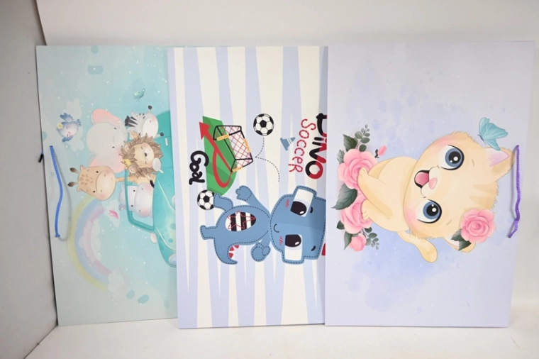 Presentatiegeschenktas 60 × 40 × 25 cm