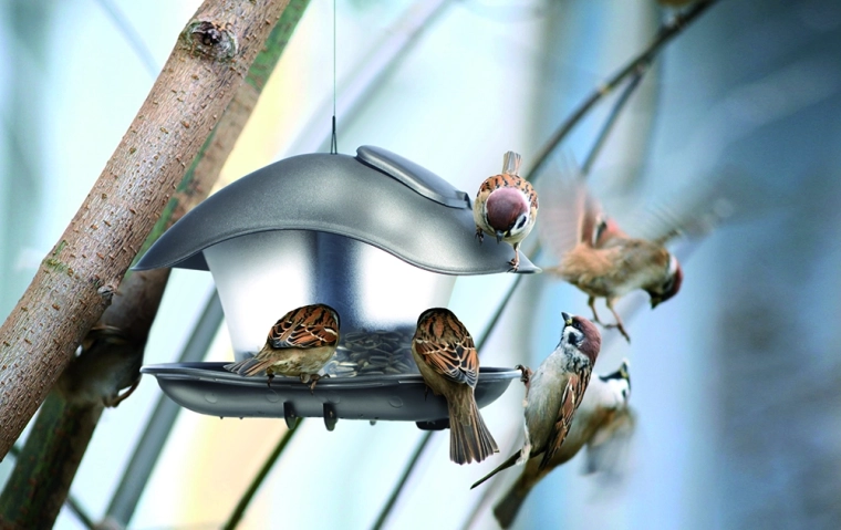 Transparante container voor eenvoudige controle van het voer
