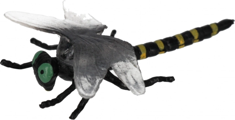 Realistische uitvoering voor leuk leren