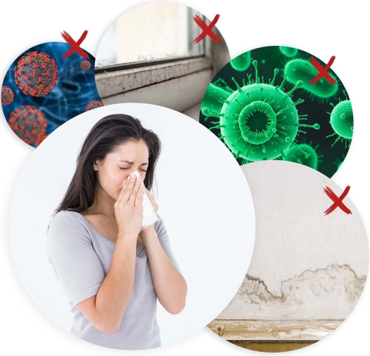 Effectieve verlaging van de luchtvochtigheid en bescherming tegen schimmel