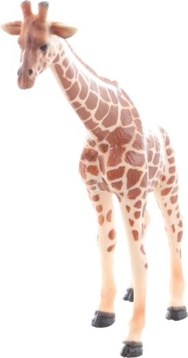 Veilig formaat voor kleine handjes