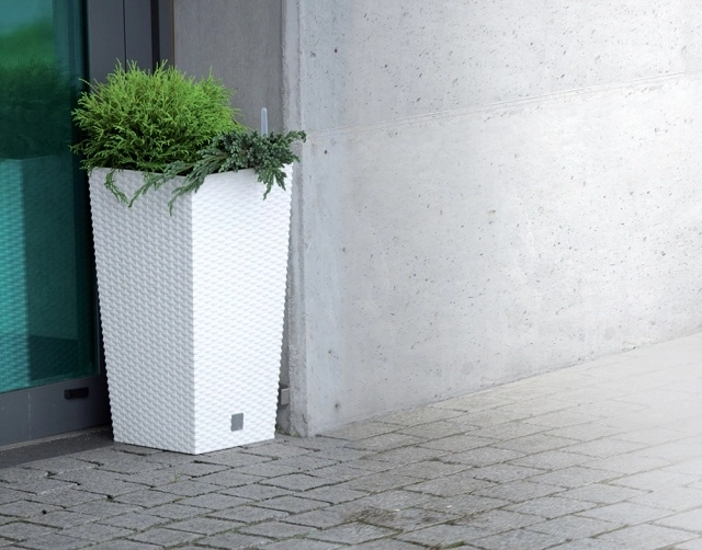 Elegante rotanlook voor elke ruimte