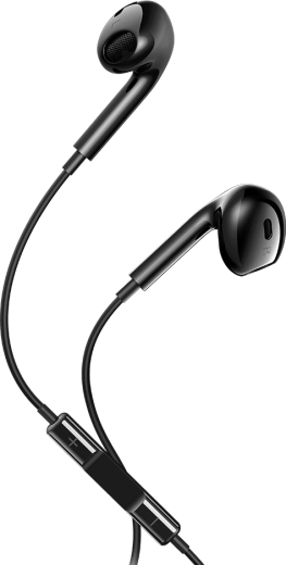 Bedrade oordopjes Maxlife MXEP-04 USB-C zwart