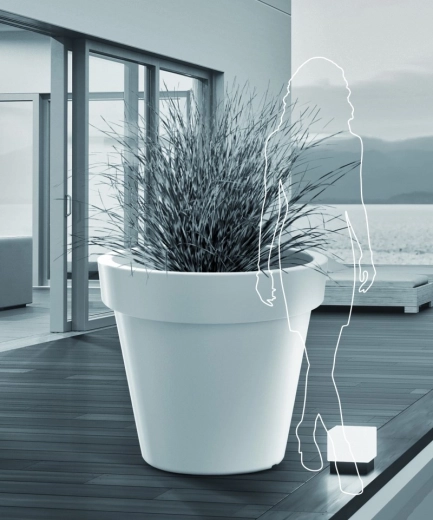 Groot volume voor opvallende beplanting