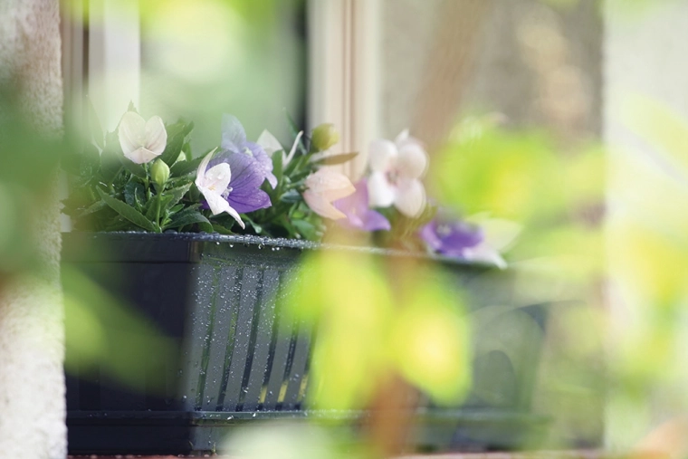 Elegante antracietkleur voor elke buitenruimte