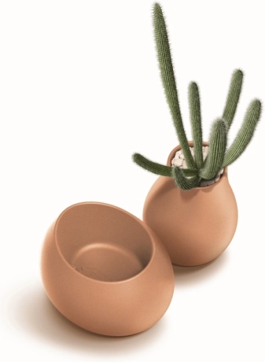 Ideaal voor compacte beplanting