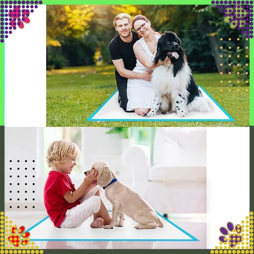 Hygiëne en eenvoudig gebruik