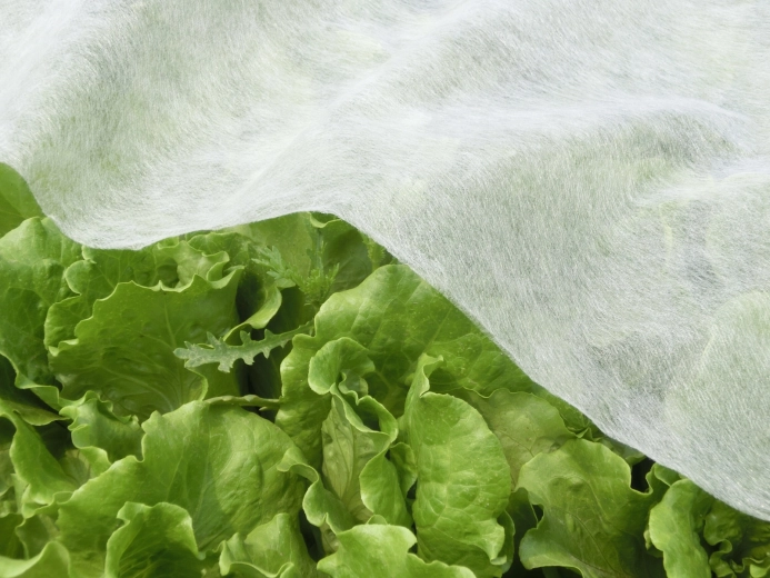 Ademend weefsel voor gezonde groei