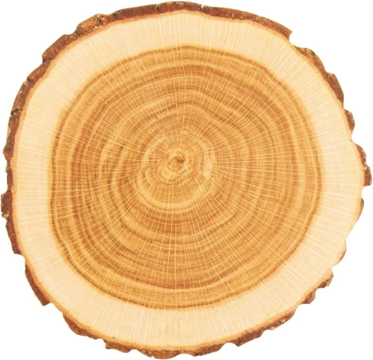 Natuurlijke look van een houtschijf