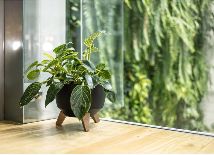 Stabiele pootjes met houtlook