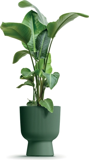 Praktische uitneembare inzet en drainage