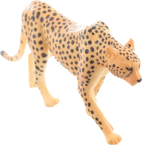 Ideaal voor leren en verzamelen