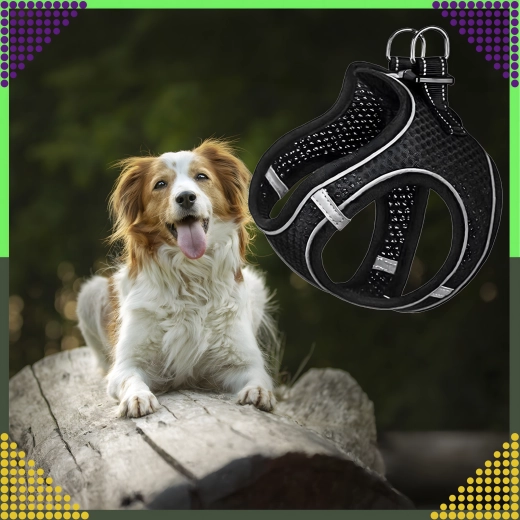 Hoge zichtbaarheid dankzij reflecterende elementen