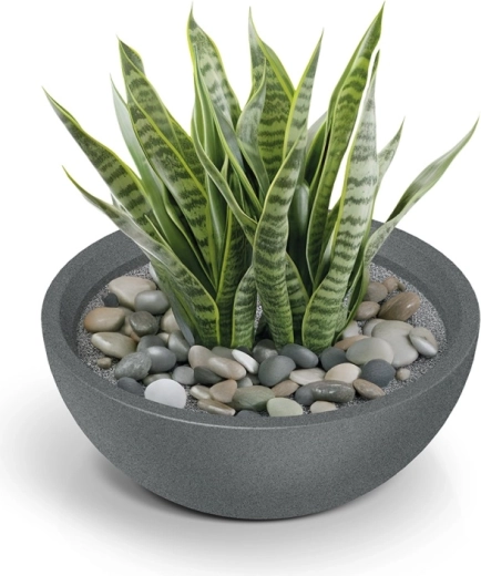 Stijlvolle accessoire voor groen