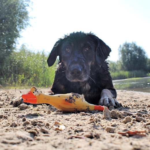 Heldere gele kleur voor gemakkelijk terugvinden