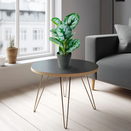 Kunstdecoratieve plant met zebrablad in groen-wit