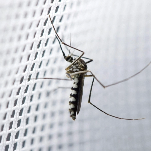Effectieve barrière tegen muggen en insecten