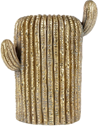 Realistische cactusstructuur