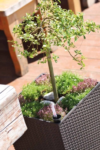 Comfortabele verzorging dankzij de uitneembare inzet