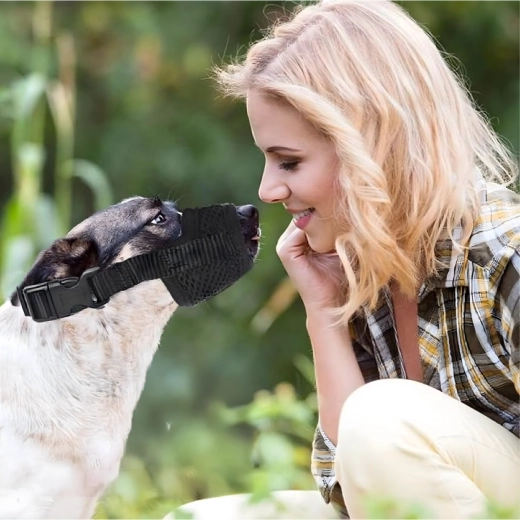 Veiligheid tijdens training en bij de dierenarts