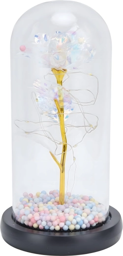 Glazen stolp beschermt en siert