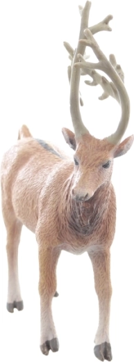 Ideaal formaat voor kleine handjes