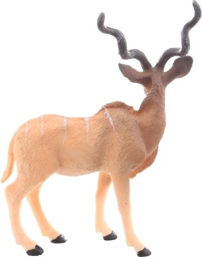 Geweldig voor leren en verzamelen