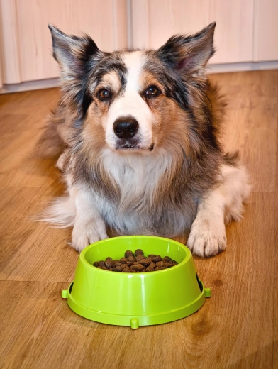 Geschikt voor water en voer