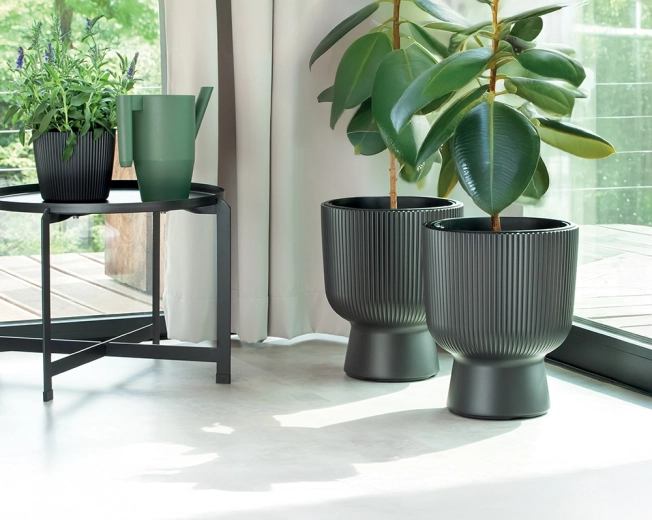 Uitneembare inzet bespaart substraat en tijd