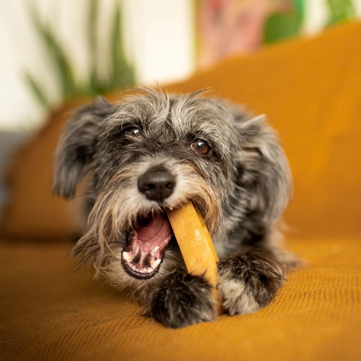 Ondersteunt gezonde tanden en tandvlees