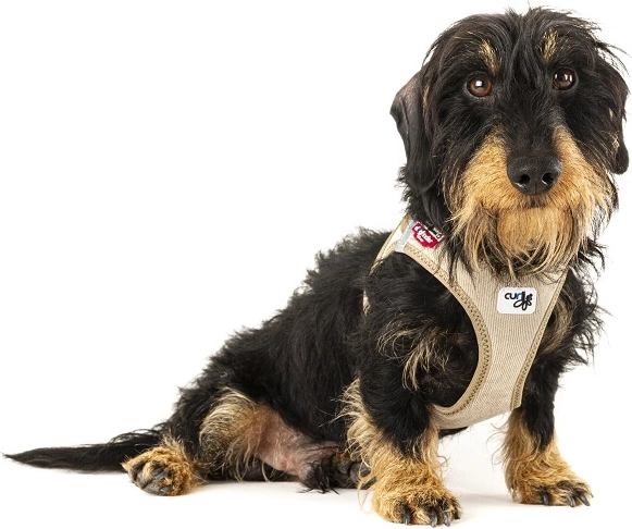 Ademend Air‑Mesh comfort en hondvriendelijke constructie