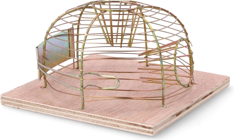 Diervriendelijke en veilige vangst