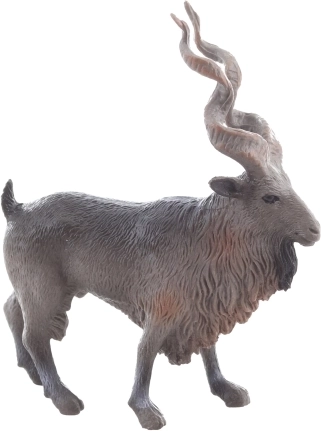 Duurzaam plastic voor dagelijks spelen