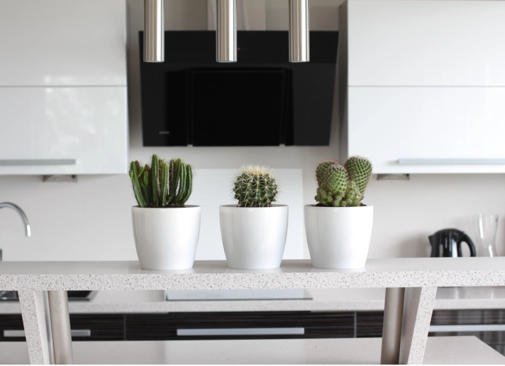 Veelzijdig voor binnen en buiten