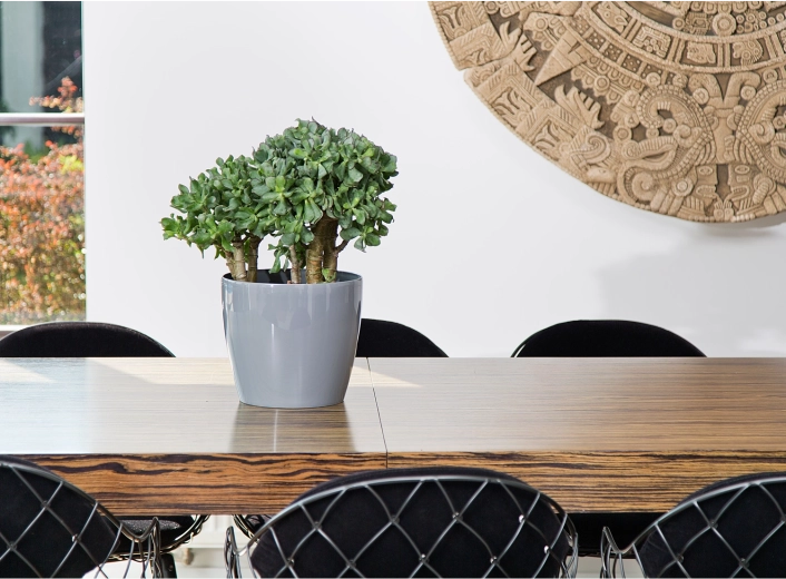 Elegante toevoeging aan een modern interieur