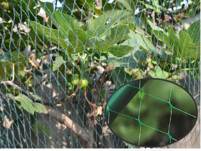 Universeel inzetbaar voor bedden en bomen