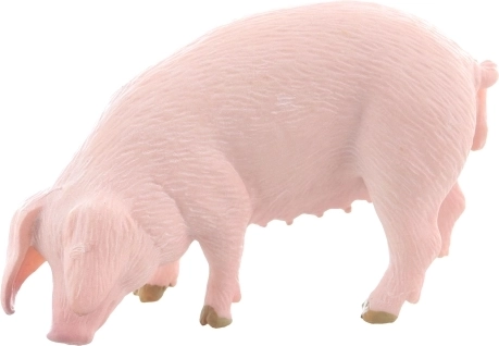 Duurzaam plastic en veilig ontwerp