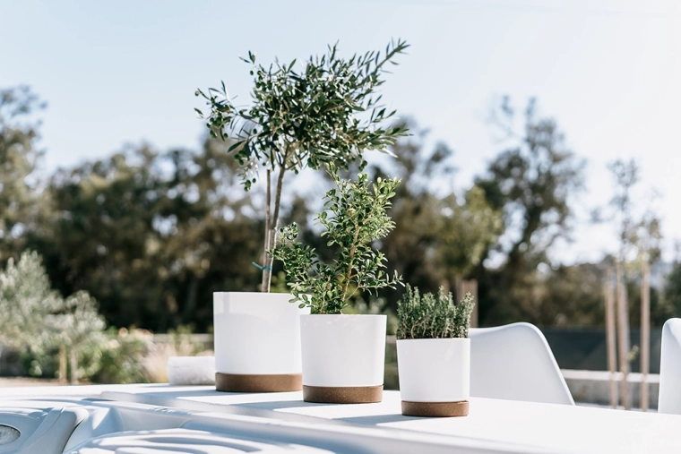 Compact formaat voor kleine planten