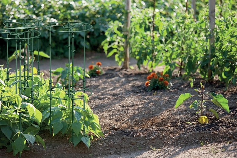 Duurzaam en onopvallend in de border